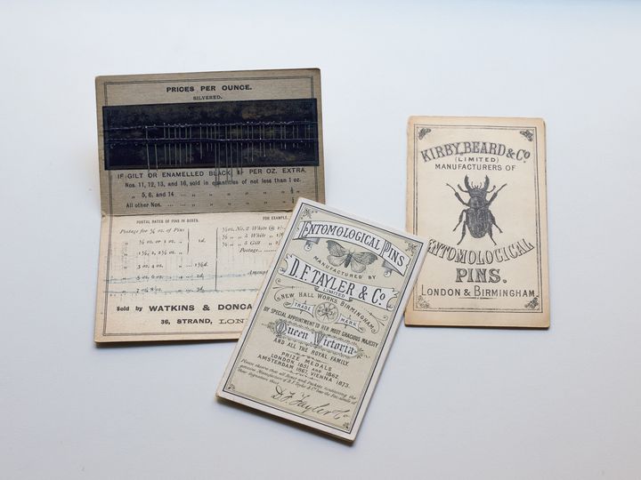 昆虫針のパッケージ