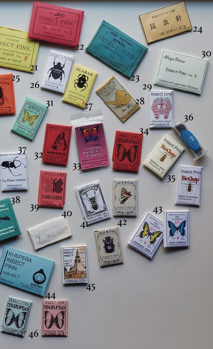 昆虫針のパッケージ