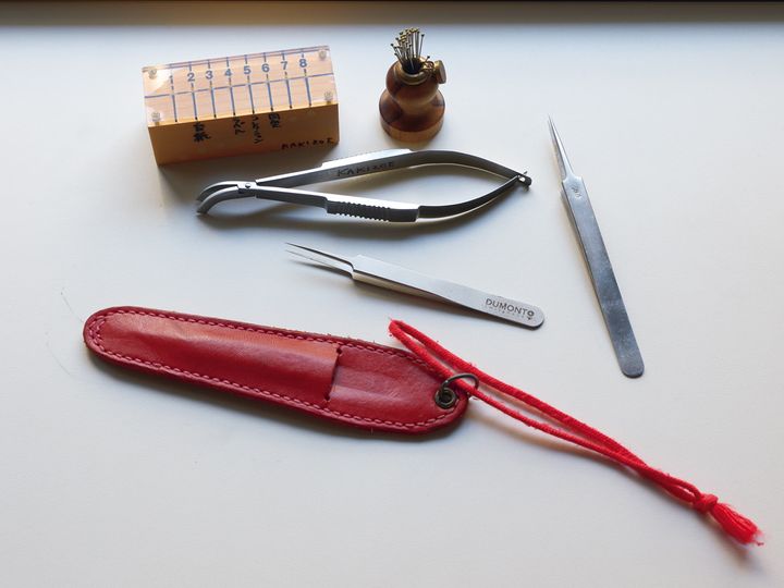 昆虫標本用のピンセット