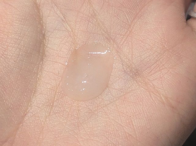 ディセンシアの写真