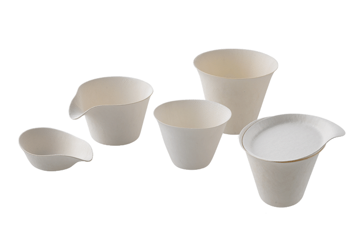 〈WASARA〉の紙皿