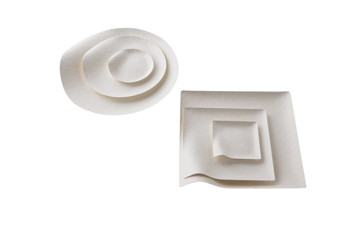 〈WASARA〉の紙皿