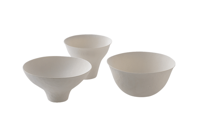 〈WASARA〉の紙皿