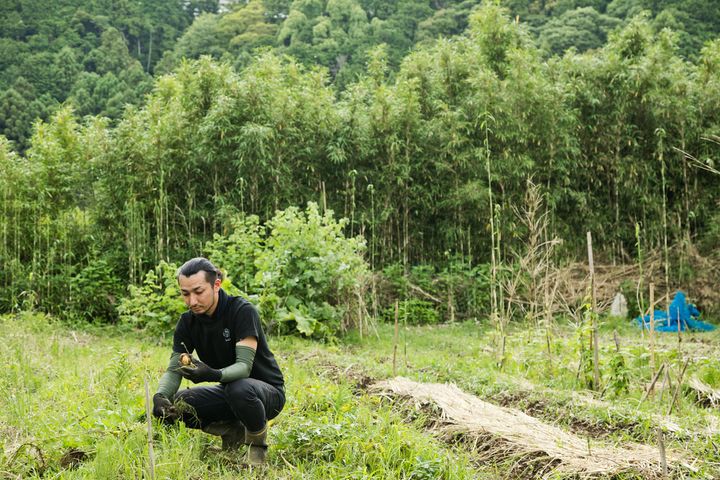 畑作業をする〈bekka izu〉シェフの大塚一樹さん
