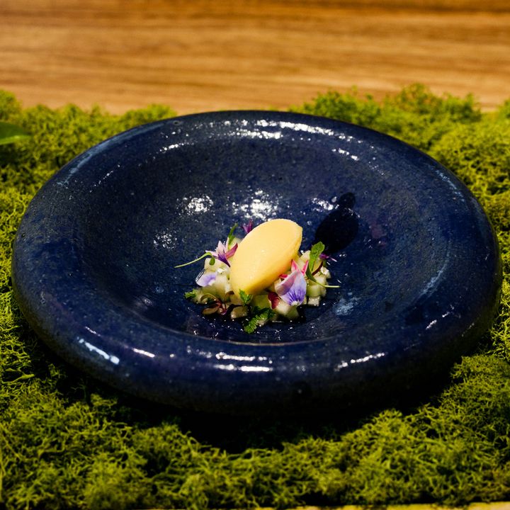 マンゴーのソルベ