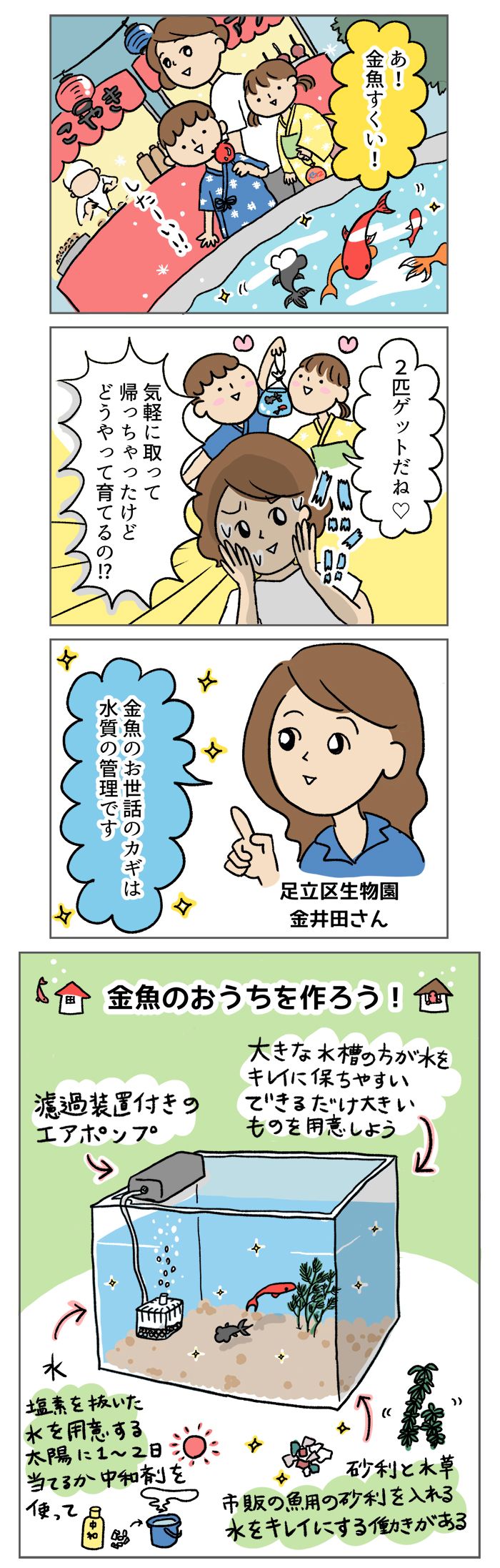 金魚すくいで、つい持ち帰ってしまったけど…。金魚って、どうやって飼うの？【マンガでわかる！ おっかなびっくり飼育】の画像1