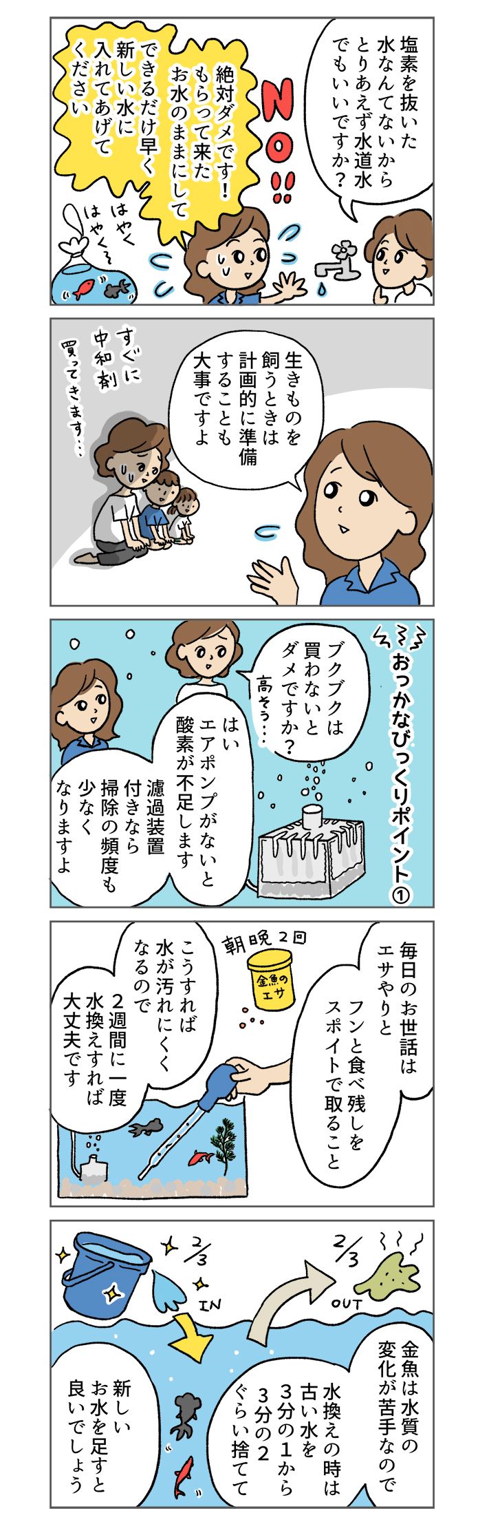 金魚すくいで、つい持ち帰ってしまったけど…。金魚って、どうやって飼うの？【マンガでわかる！ おっかなびっくり飼育】の画像2