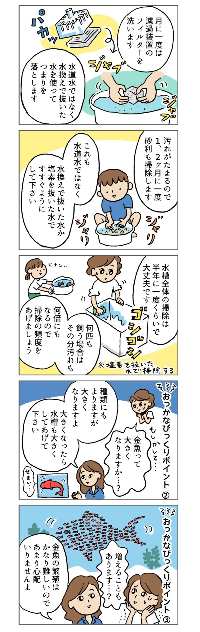 金魚すくいで、つい持ち帰ってしまったけど…。金魚って、どうやって飼うの？【マンガでわかる！ おっかなびっくり飼育】の画像3