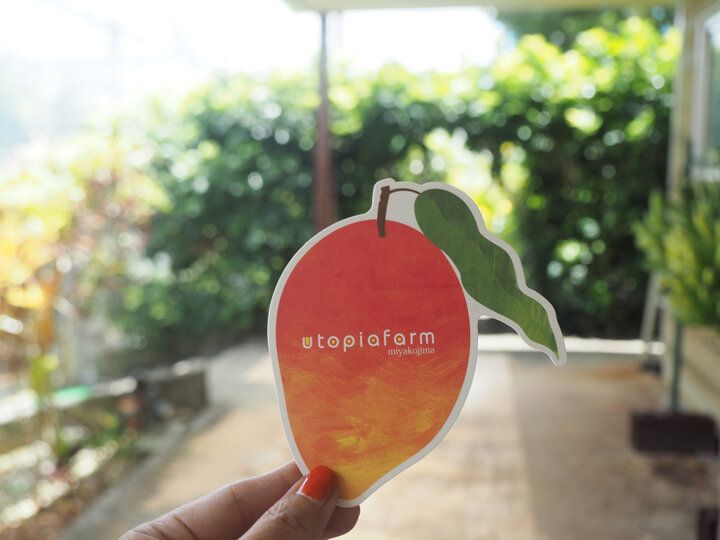 完熟マンゴー尽くしの贅沢スイーツが人気♪南国の花が咲き誇る観光農園「ユートピアファーム宮古島」へ