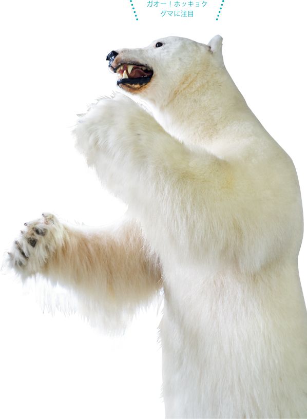 「国立極地研究所 南極・北極科学館」。暑い夏休み、極寒の地・南極と北極を感じてみよう！【最新号からちょっと見せ】の画像5