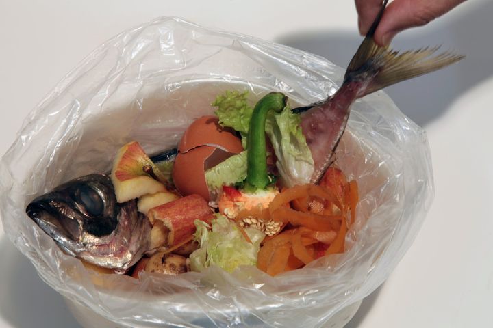 生ゴミの臭いを抑えるコツは？