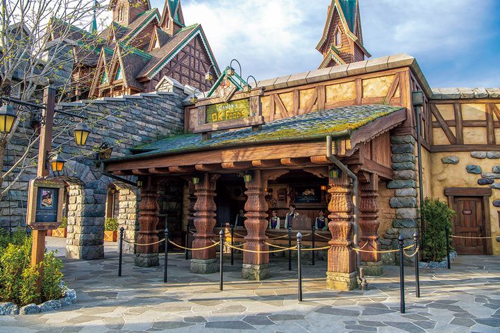 【ディズニーシー新エリア】「ファンタジースプリングス」を満喫する4つのポイント