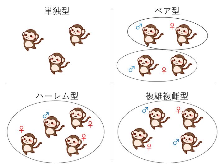 群れ生活のいろいろな型