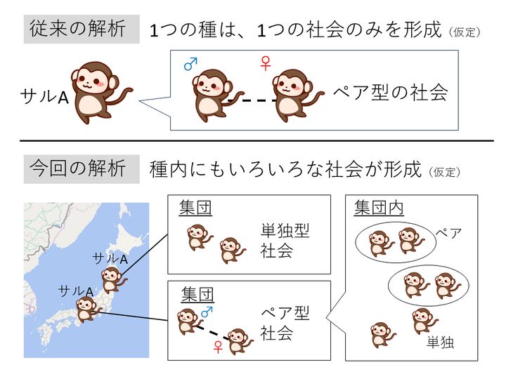 一つの種内にもいろいろな社会がある。