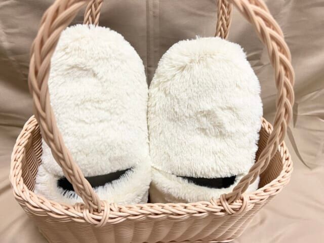 3COINS スリコ インテリアカゴバッグ サイズ感