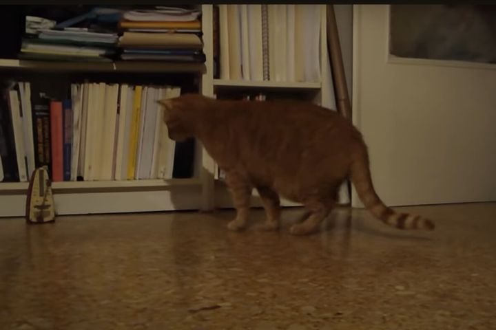 出典：Peter J. Stavroulakis