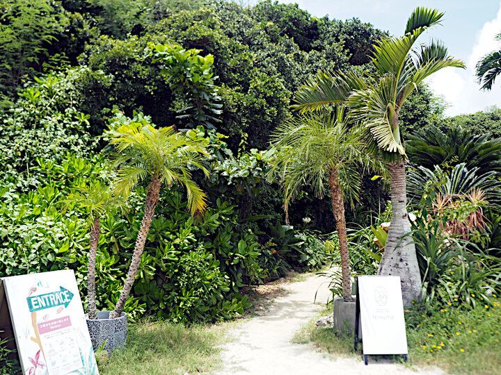 池間ブルーの海を眺めてのんびりランチ♪ 宮古島の絶景カフェ「Ikemajima gelato cafe Ninufa」