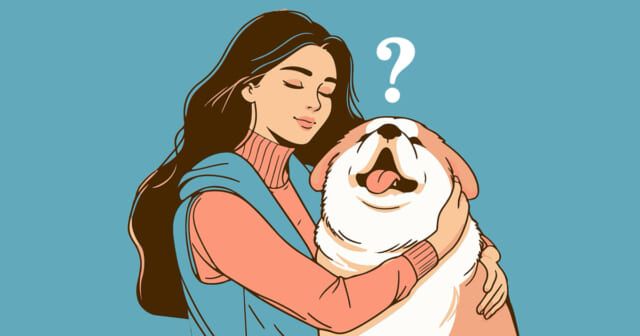 この犬の名は？あなた向きの「目上の人への接し方」心理テスト