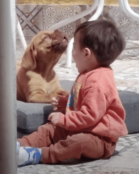 子犬と一緒にせーのっ、で歌うよ！ 赤ちゃんも犬さんも可愛すぎる♡