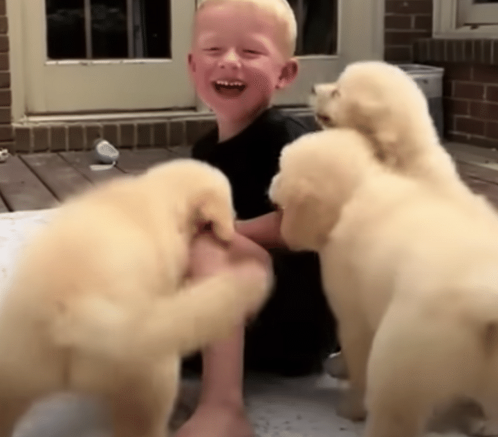 子犬に囲まれて幸せそうな男の子♡ 犬好きにはたまらないね！