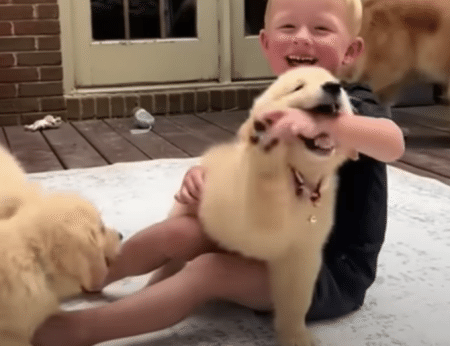 子犬に囲まれて幸せそうな男の子♡ 犬好きにはたまらないね！