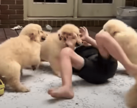 子犬に囲まれて幸せそうな男の子♡ 犬好きにはたまらないね！