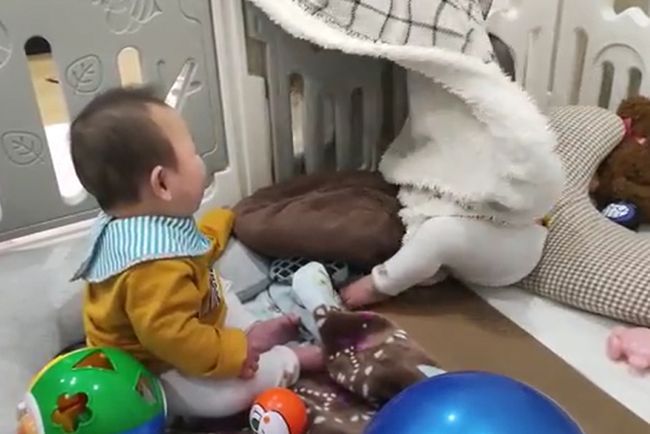 双子ベビーの兄が突然笑いのツボに入ったワケ