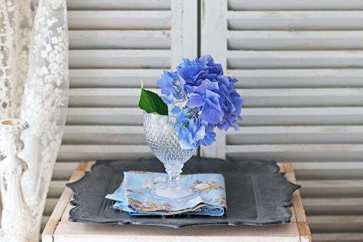 夏のプチプラアレンジ