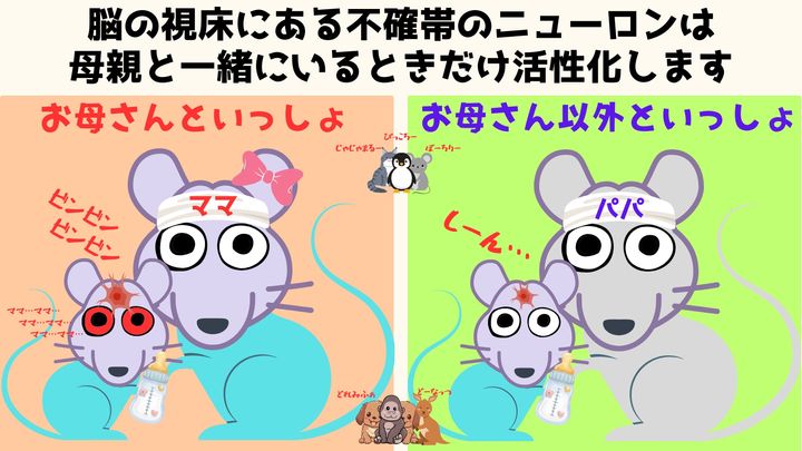 子供が母親を慕うのは当たり前だと思いがちですが、その当たり前を実現させるメカニズムが存在します