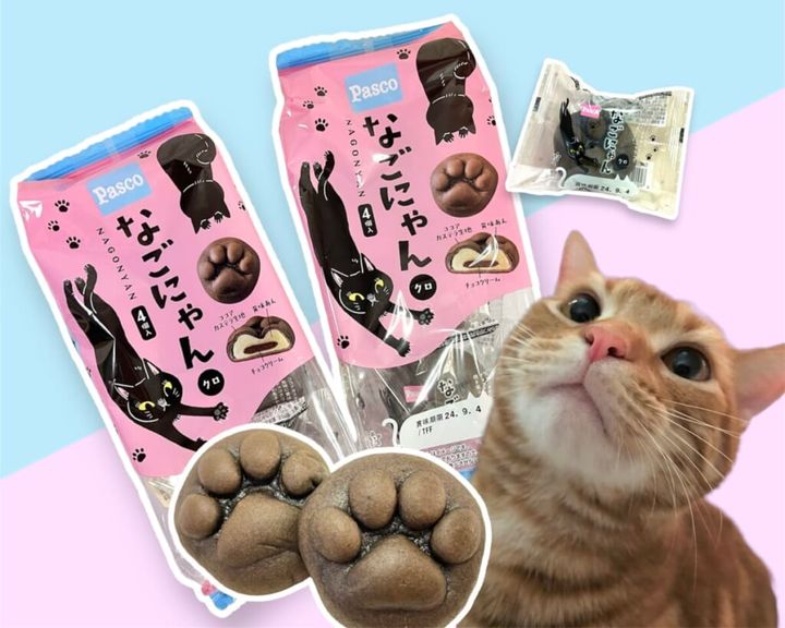 パスコの新商品「なごにゃんクロ」の商品パッケージと肉球型の饅頭を猫の画像を一緒に紹介する画像