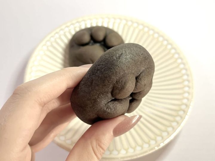 「なごにゃんクロ」を手に持って横から厚みを確認する画像