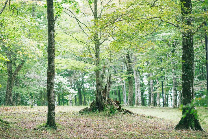 ファミリーキャンプの過ごし方どうしてる？絶対に失敗しないアイディアを紹介！