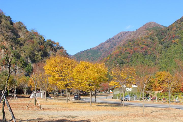 ファミリーキャンプの過ごし方どうしてる？絶対に失敗しないアイディアを紹介！