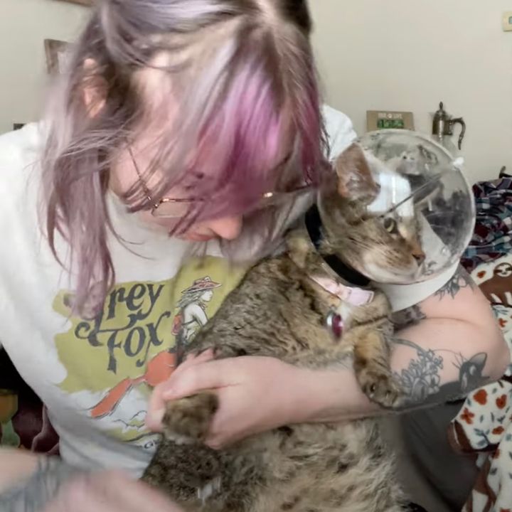 ヘルメット型猫用爪切り安全装置、成功率は約2割弱