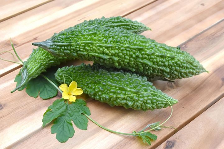 食欲増進や肝機能アップなど、注目の生理機能がいっぱい！