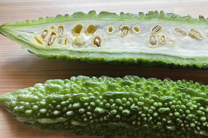 ▲白いワタにもビタミンCが豊富に含まれています