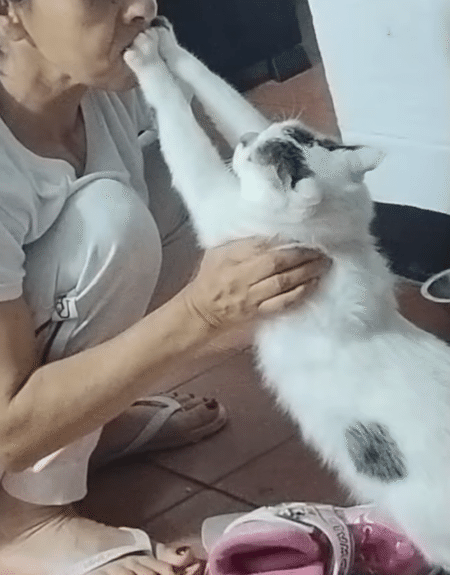 猫「ママちょっと、うるさいニャ」 話を聞く気がない！