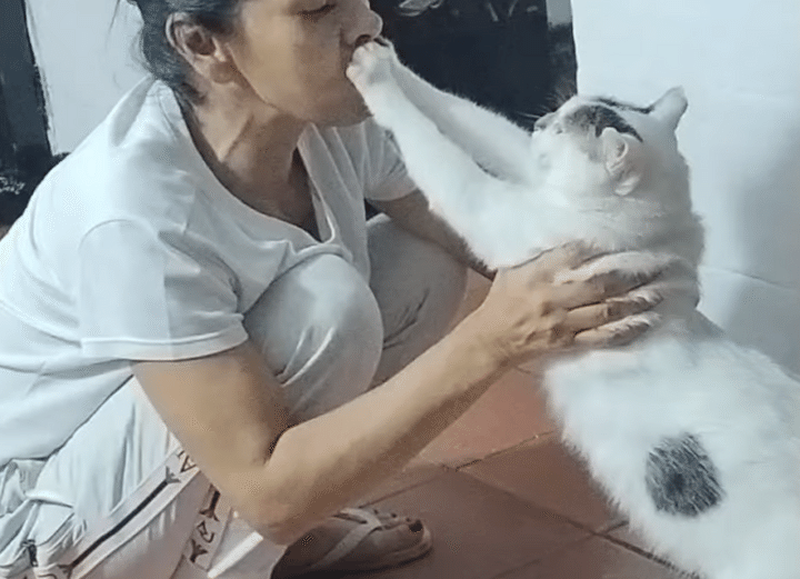 猫「ママちょっと、うるさいニャ」 話を聞く気がない！