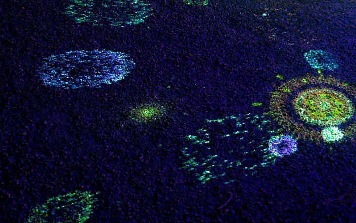 京都・二条城で夏の夜を満喫！光のアートで彩る「NAKED夏まつり 2024 世界遺産・二条城」