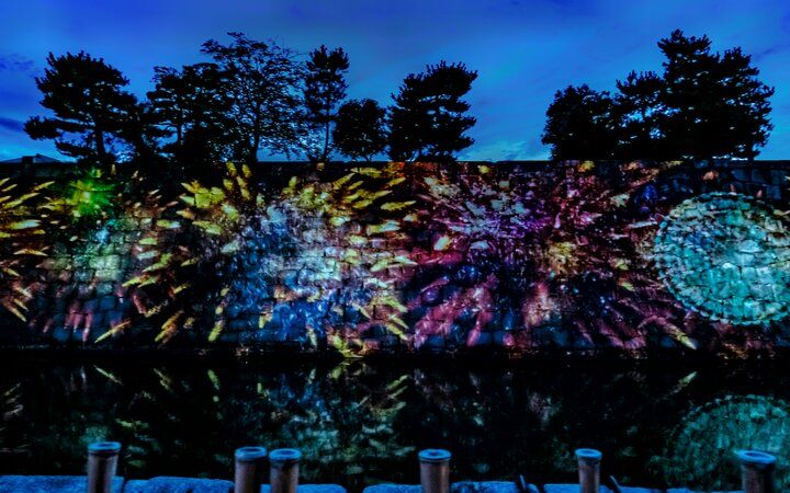 京都・二条城で夏の夜を満喫！光のアートで彩る「NAKED夏まつり 2024 世界遺産・二条城」
