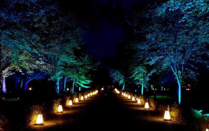 京都・二条城で夏の夜を満喫！光のアートで彩る「NAKED夏まつり 2024 世界遺産・二条城」