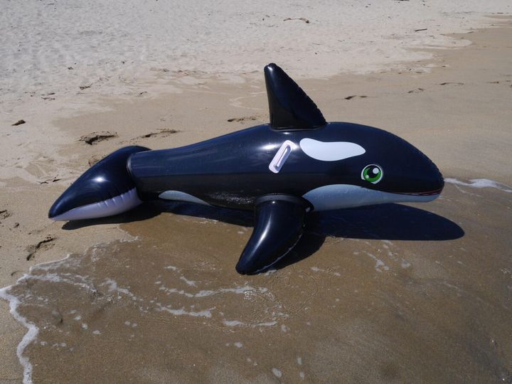 子どもが乗ったフロートが沖に流され、海岸に戻れなくなる事故が発生している