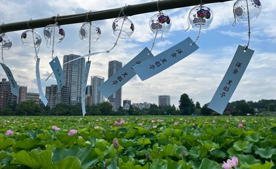 画像の代替テキスト