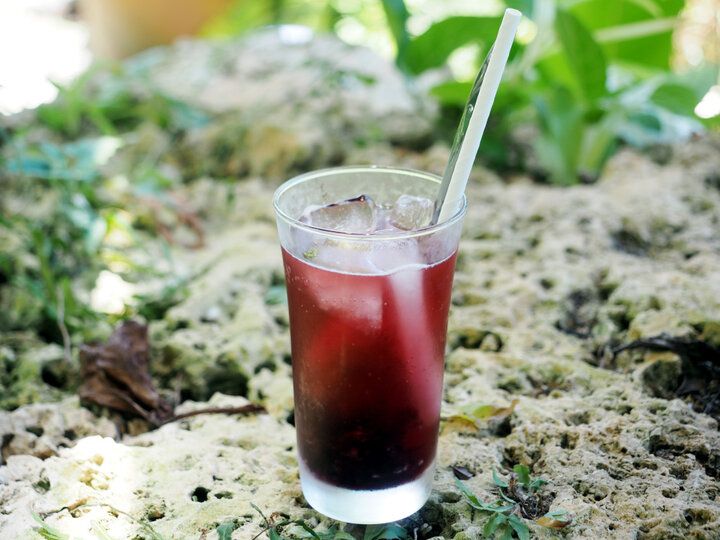 ジャングルに迷い込んだみたい♪ 宮古島の自然豊かな体験工房併設カフェ「カラカラ」