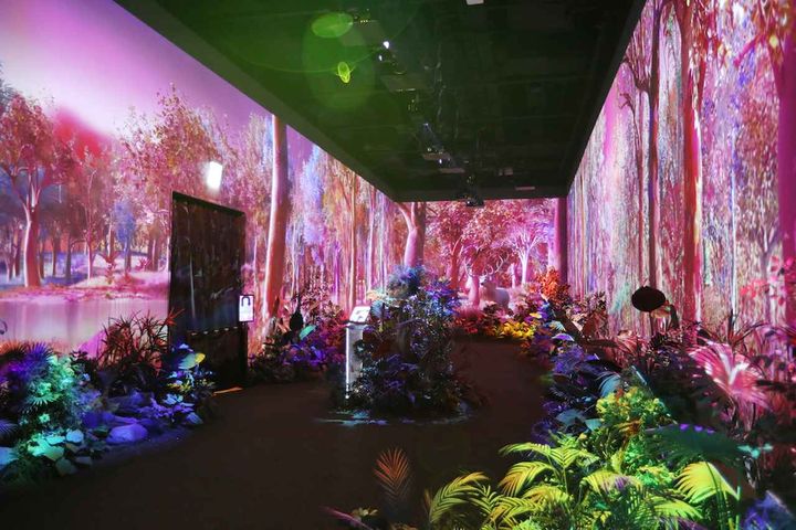 画像1: 終始大興奮！ 没入型デジタルアート展示館「Le Space INSPIRE」