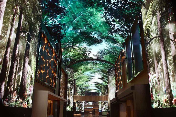 画像: オーロラ