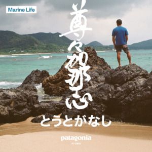 映画『尊々加那志〜とうとがなし』ポスター