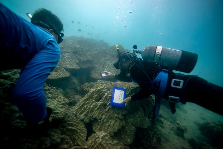 奄美大島周辺の海底を調査する