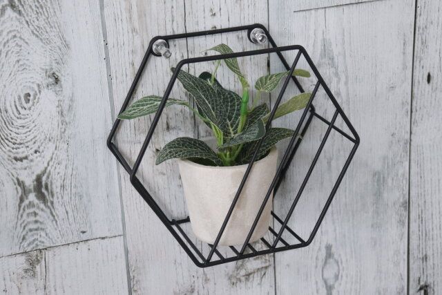 ダイソー ウォールインテリア（六角形） 使用例 フェイクグリーン