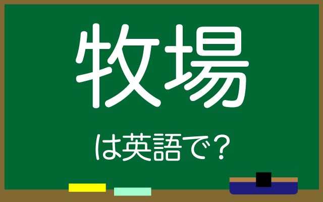 英語で【牧場】は何て言う？「馬牧場」などの英語もご紹介